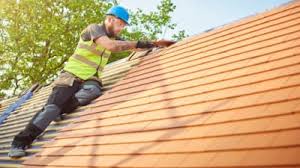 Best Roof Ventilation Installation  in Newport, MN