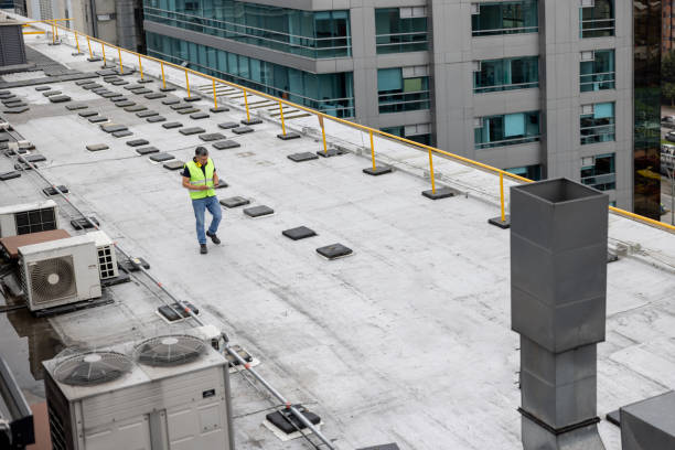 Best Storm Damage Roof Repair  in Newport, MN
