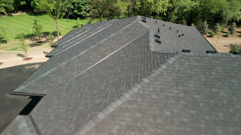 Best Roof Moss and Algae Removal  in Newport, MN