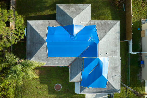 Reliable Newport, MN Roofing Service Solutions