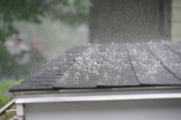 Emergency Roof Repair in Newport, MN