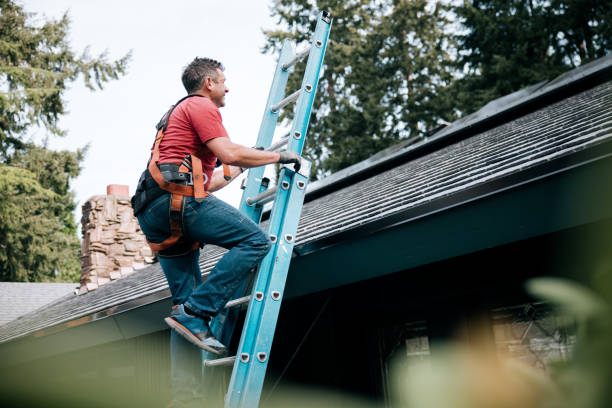 Best Metal Roofing Installation  in Newport, MN